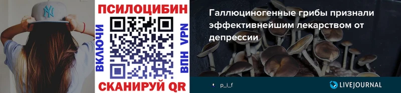 Псилоцибиновые грибы мухоморы  Купить где  Сокол 
